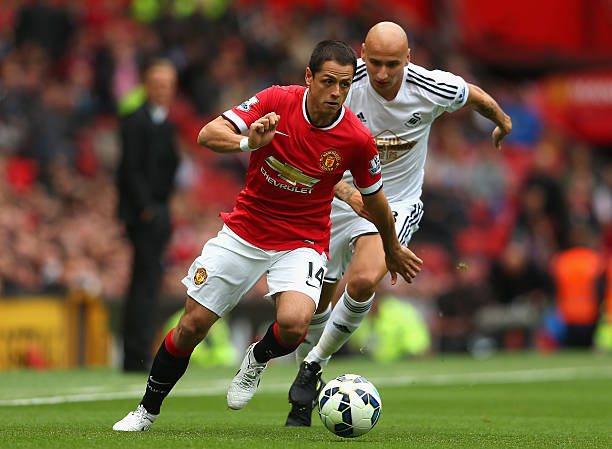 精英组合的 精英组合的