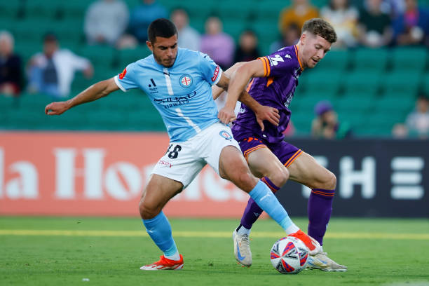 洲赛场上的 洲赛场上的